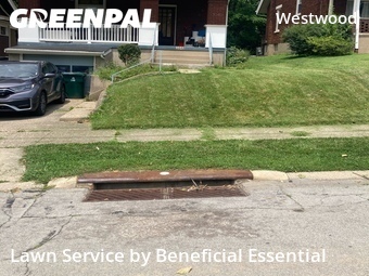 Landscape Design In Cincinnati,45211,Landscaping Cleanup by Beneficial Essential, work completed in Jul , 2026
