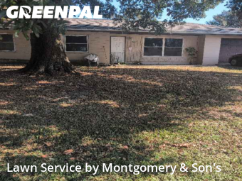 Grass Cut nearby Lakeland, FL, 