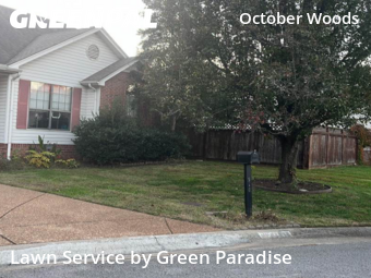 Yard Cutting nearby Antioch, TN, 