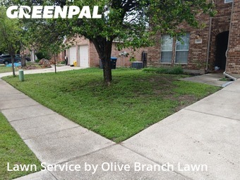 Yard Cuttingin Roanoke,76262,Yard Cutting by Olive Branch Lawn, work completed in Jun , 2026