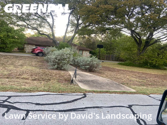 Grass Cut nearby Buda, TX, 
