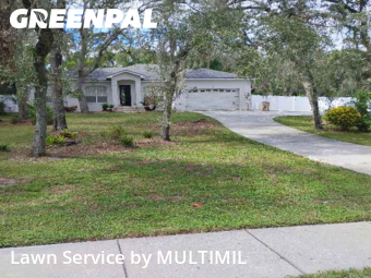 Turf Services in Temple Terrace, 33617, Yard Care Services by MULTIMIL , work completed in Nov , 2025