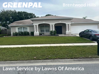 Lawn Maintenance nearby Valrico, FL, 