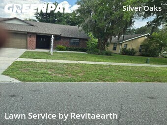 Grass Cut nearby Zephyrhills, FL, 