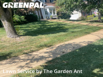 Lawn Cutting nearby Ballwin, MO, 