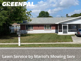 Grass Cut nearby Safety Harbor, FL, 