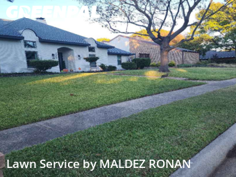 Lawn Cuttingin Richardson,75082,Lawn Care Service by MALDEZ RONAN, work completed in Dec , 2025