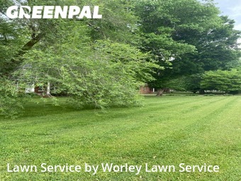 Yard Mowing nearby Murfreesboro, TN, 