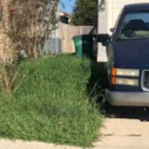 Order Lawn Care in San Antonio, TX, 78218