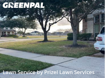 Grass Cuttingin Pearland,77581,Lawn Care by Prizel Lawn Services, work completed in Jan , 2026