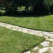 affordable-lawn-services-in-Arlington-VA