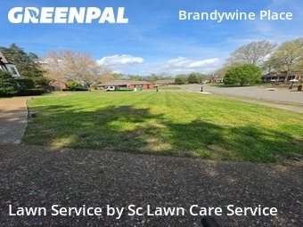 Lawn Mowing nearby Old Hickory, TN, 