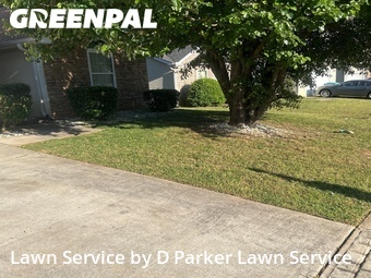 Lawn Mowing Service nearby Hampton, GA, 