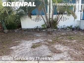 Yard Cutting nearby St. Petersburg, FL, 