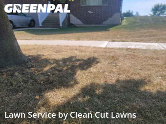 Grass Cut nearby West Chicago, IL, 