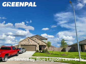 Lawn Maintenancein Rosenberg,77471,Lawn Mowing Service by Blue Lagoon Lawn Serv, work completed in Nov , 2025