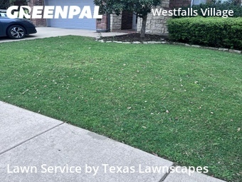 Lawn Mow nearby Frisco, TX, 