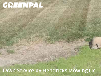 Grass Cut nearby Amherst, OH, 