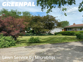 Lawn Mow nearby Ann Arbor, OH, 