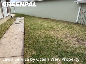 Grass Cutting nearby Palm City, FL, 