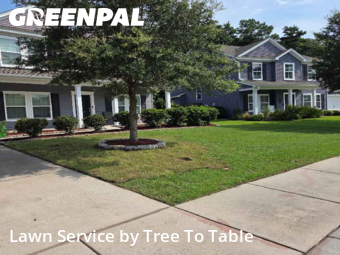 Lawn Service nearby Charleston, SC, 