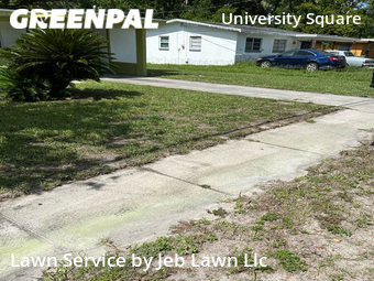 Lawn Service nearby Tampa, FL, 