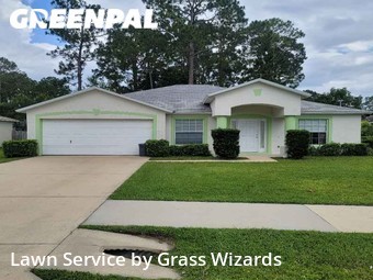 Grass Cut nearby Palm Coast, FL, 