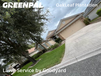 Lawn Cuttingin Orange Park,32065,Yard Mowing by Goodyard , work completed in Oct , 2025