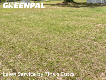 Lawn Mowing Service nearby Valdosta, GA, 