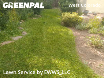 Lawn Mow nearby Manitou Springs, CO, 