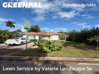 Grass Cut nearby Miami Beach, FL, 