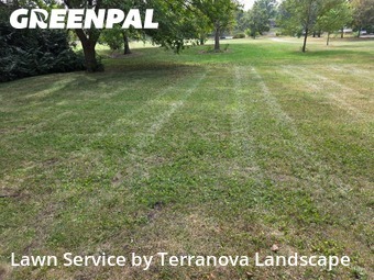 Yard Mowing in Glen Ellyn, 60137, Yard Cutting by Terranova Landscape, work completed in Oct , 2025