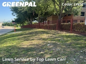 Lawn Mowing nearby Dallas, TX, 