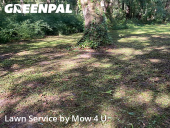 Lawn Mowing nearby Tallahassee, FL, 
