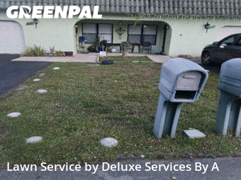Yard Cutting in Tamarac, 33321, Yard Maintenance by Deluxe Services By A, work completed in Dec , 2025