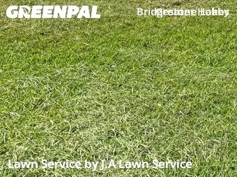 Grass Cutin Spring,77388,Lawn Mow by J.A Lawn Service, work completed in Feb , 2026