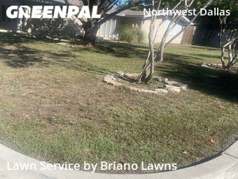 Lawn Care Service nearby Dallas, TX, 