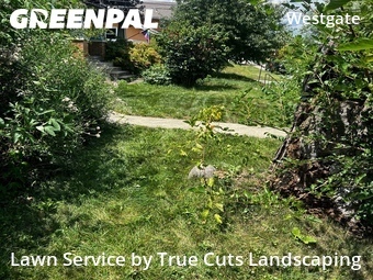 Lawn Cut nearby Columbus, OH, 