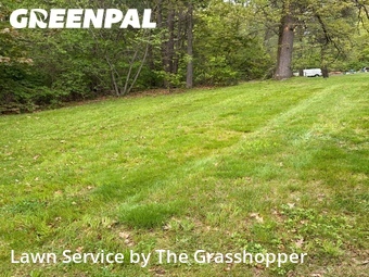 Lawn mowed in Tolland, 6084