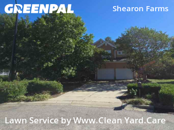 Turf Services in Wake Forest, 27587, Property Maintenance by Www.Clean Yard.Care, work completed in Nov , 2025