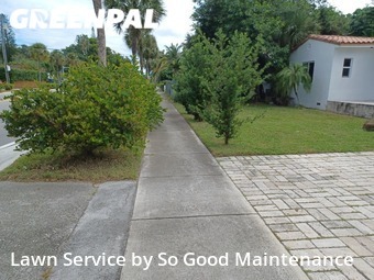 Grass Cutting nearby Miami Shores, FL, 