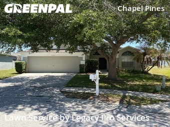 Grass Cut nearby Wesley Chapel, FL, 