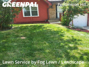 Grass Cut nearby Olathe, KS, 