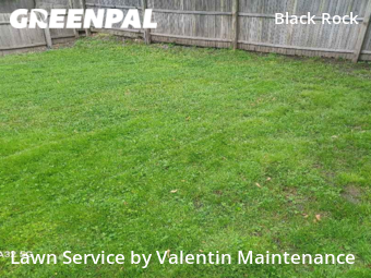 Grass Cut nearby Bridgeport, CT, 