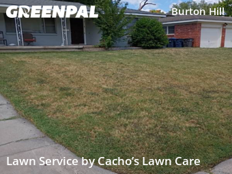 Lawn Cutting nearby Fort Worth, TX, 