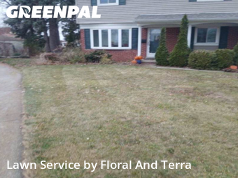 Lawn Mow nearby St. Clair Shores, MI, 