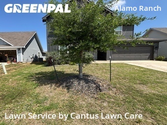 Lawn Care Service nearby San Antonio, TX, 