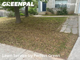 Lawn Service nearby San Antonio, TX, 