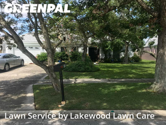 Lawn Mow nearby Tampa, FL, 