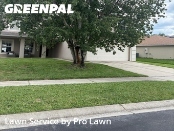 Lawn Mowing Servicein Orlando,32828,Lawn Cut by Pro Lawn, work completed in Jun , 2026